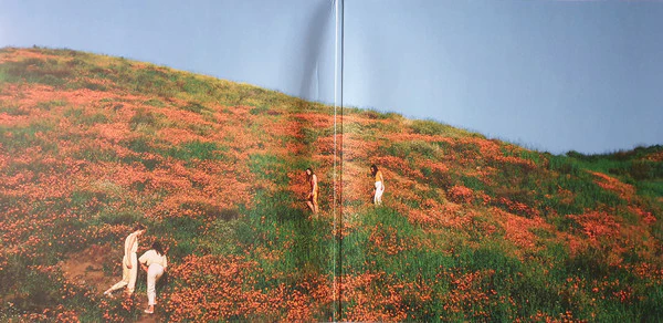 The Big Moon – Walking Like We Do (NM/E) – LP, UK 2020 - Image 2