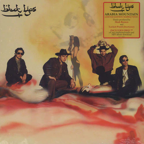 The Black Lips – Arabia Mountain (VG+/VG+) – LP, US 2011 - Image 2