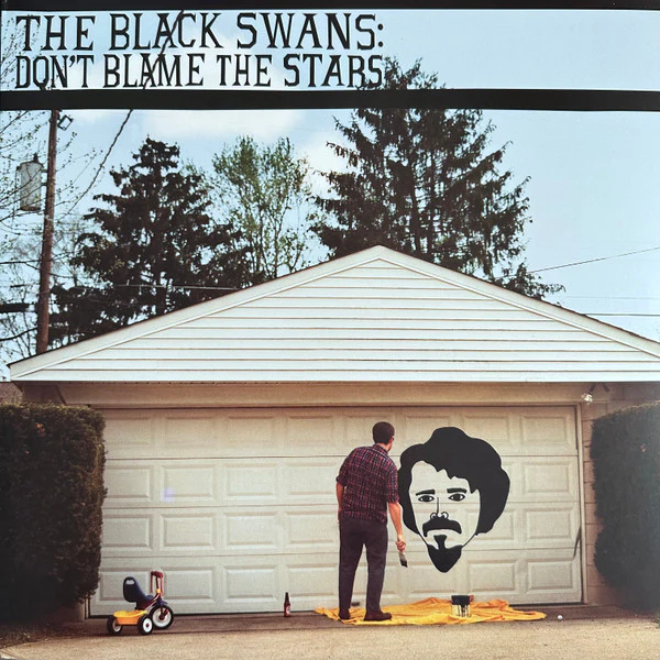 The Black Swans – Don't Blame The Stars (VG+/VG+) – LP, US 2011