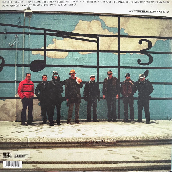 The Black Swans – Don't Blame The Stars (VG+/VG+) – LP, US 2011 - Image 2