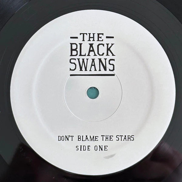 The Black Swans – Don't Blame The Stars (VG+/VG+) – LP, US 2011 - Image 3