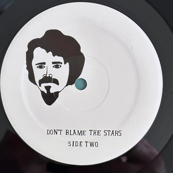 The Black Swans – Don't Blame The Stars (VG+/VG+) – LP, US 2011 - Image 4