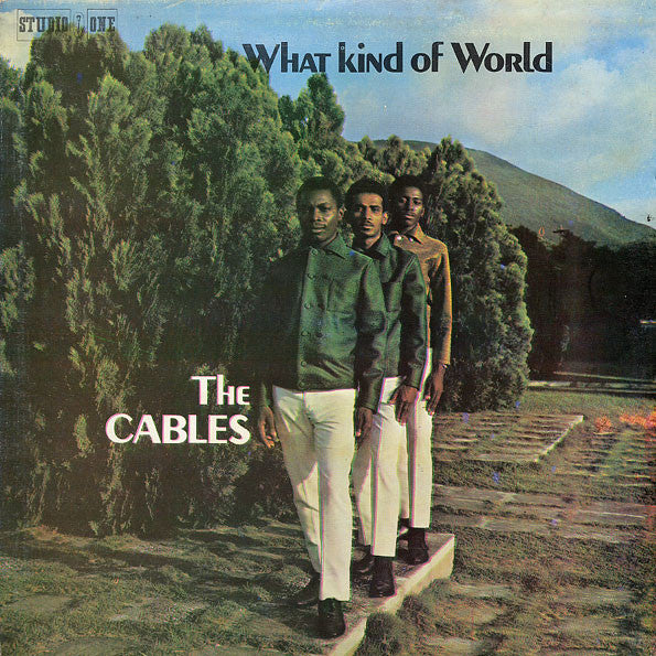 The Cables – What Kind Of World (VG/VG+) – LP, JM 1978