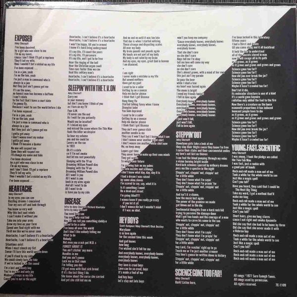 The Dictators – Manifest Destiny (VG/VG+) – LP, US 1977 - Image 3