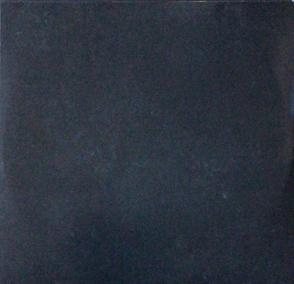 The Drones – Havilah (VG+/E) – 2xLP, UK 2008 - Image 10