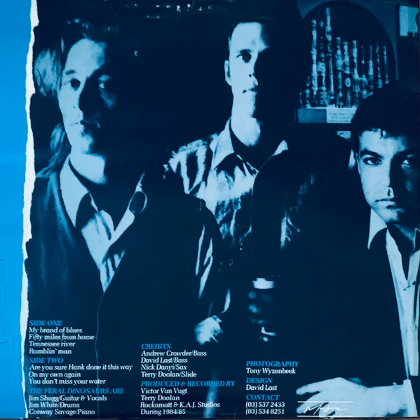 The Feral Dinosaurs – You've All Got A Home To Go To (VG+/VG+) – LP, AU 1985 - Image 2