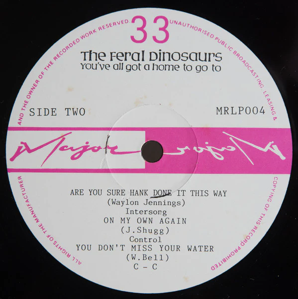 The Feral Dinosaurs – You've All Got A Home To Go To (VG+/VG+) – LP, AU 1985 - Image 4