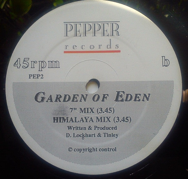 The Garden Of Eden – The Garden Of Eden (The Serpent In The Garden) // The Garden Of Eden (7" Mix) / (The Himalayan Mix) (VG+/VG+) – 12", UK 1988 - Image 4