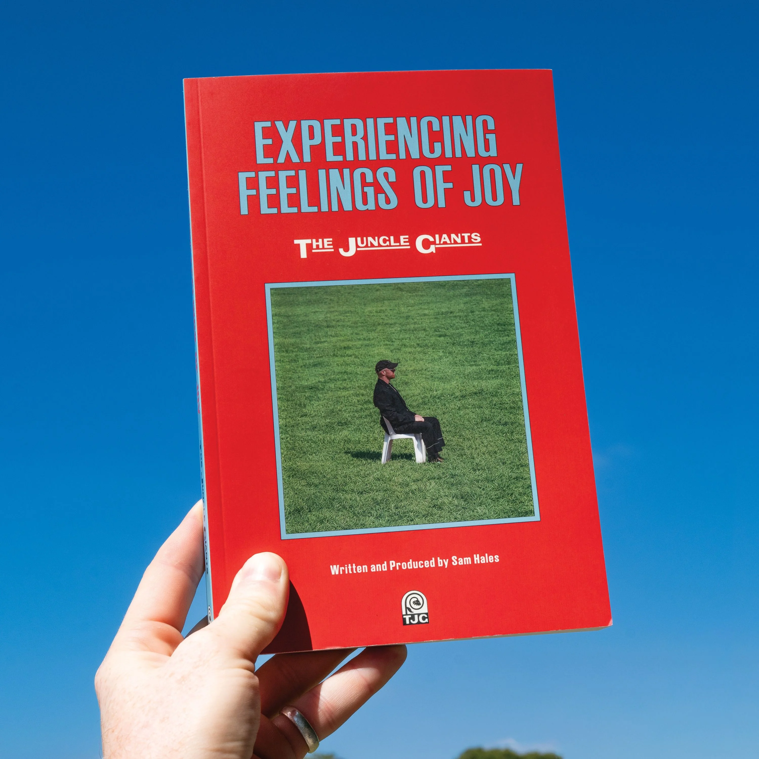 The Jungle Giants – Experiencing Feelings of Joy