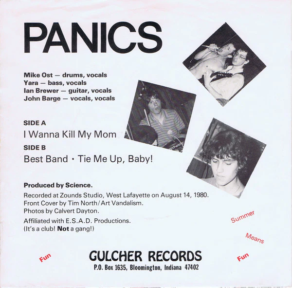 The Panics – I Wanna Kill My Mom (NM/VG+) – 7", US 1980 - Image 2