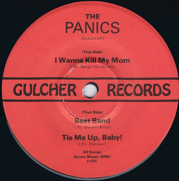 The Panics – I Wanna Kill My Mom (NM/VG+) – 7", US 1980 - Image 3