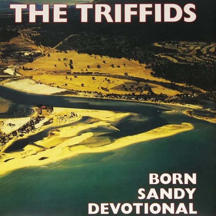 The Triffids – Born Sandy Devotional