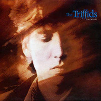 The Triffids – Calenture (VG+/VG+) – LP, AU 1988