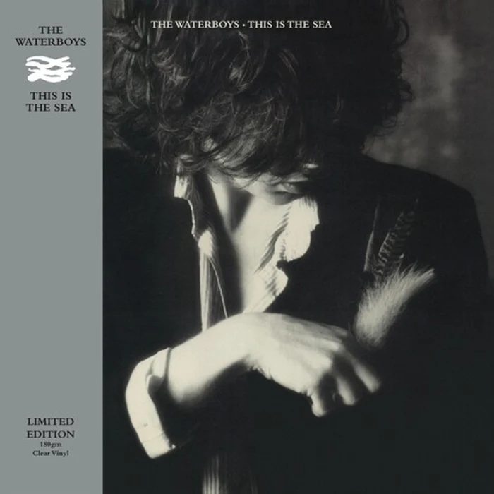 The Waterboys – This Is The Sea (Clear vinyl)