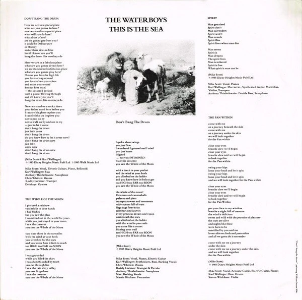 The Waterboys – This Is The Sea (VG+/VG+) – LP, AU 1985 - Image 6