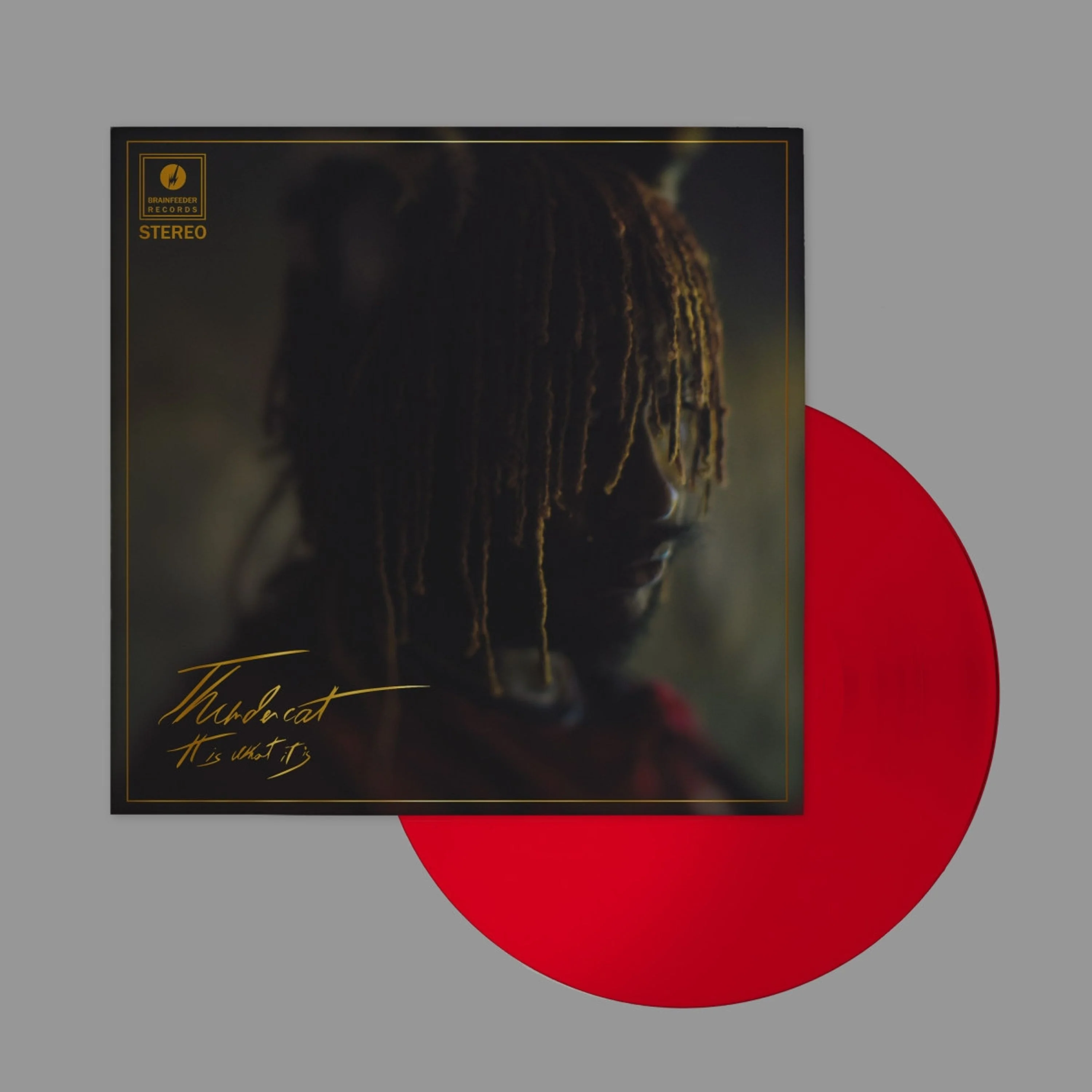 Thundercat – It Is What It Is (Red vinyl) - Image 2