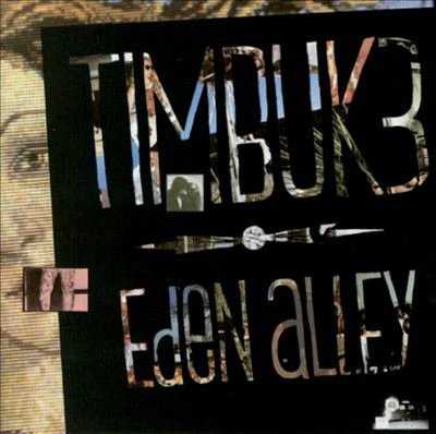 Timbuk 3 – Eden Alley (VG+/NM) – LP, AU 1988