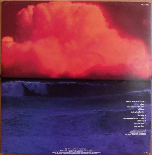Tom Robinson – Hope And Glory (VG+/VG+) – LP, AU 1984 - Image 2