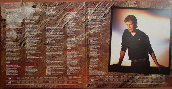 Tom Robinson – Hope And Glory (VG+/VG+) – LP, AU 1984 - Image 3