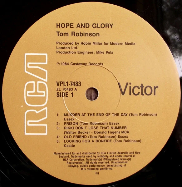 Tom Robinson – Hope And Glory (VG+/VG+) – LP, AU 1984 - Image 4