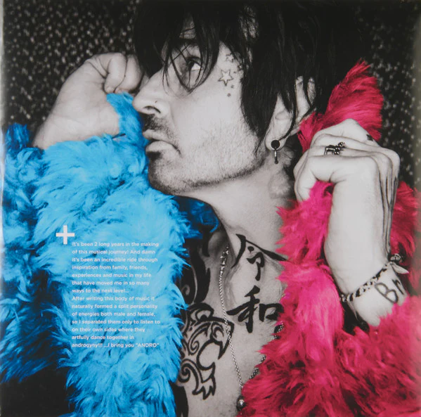 Tommy Lee – Andro (VG+/VG+) – LP, US 2020 - Image 6