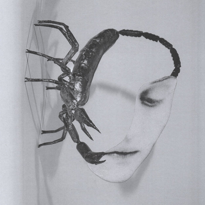 Tortoise – Touch