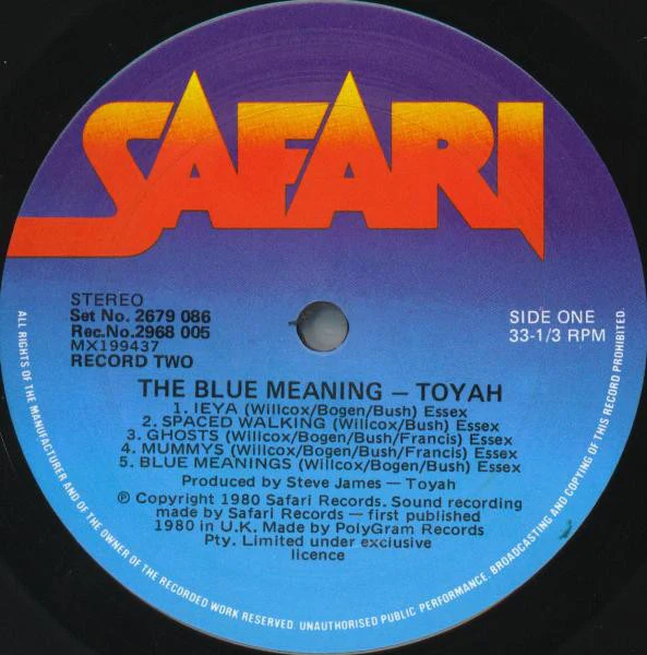 Toyah – Sheep Farming In Barnet / The Blue Meaning (VG+/VG+) – LP, AU 1980 - Image 6