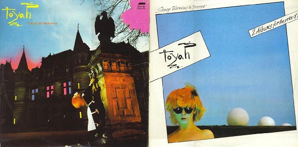 Toyah – Sheep Farming In Barnet / The Blue Meaning (VG+/VG+) – LP, AU 1980 - Image 7