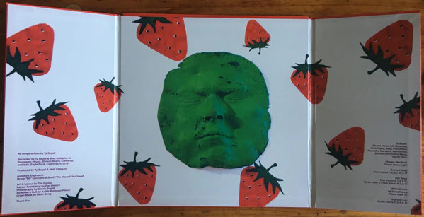 Ty Segall – First Taste (VG+/E) – LP, US 2019 - Image 3