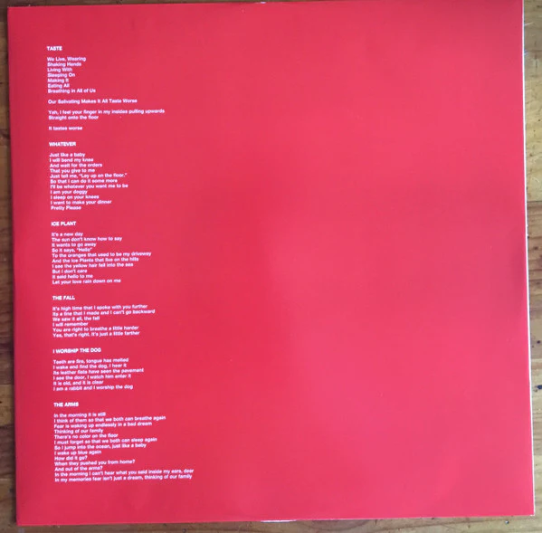 Ty Segall – First Taste (VG+/E) – LP, US 2019 - Image 4