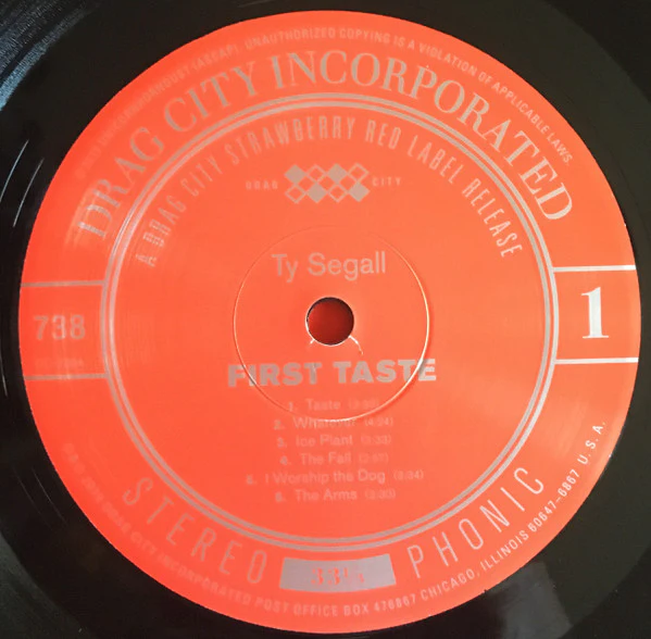 Ty Segall – First Taste (VG+/E) – LP, US 2019 - Image 6