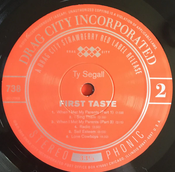 Ty Segall – First Taste (VG+/E) – LP, US 2019 - Image 7