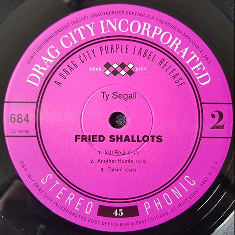 Ty Segall – Fried Shallots (VG+/VG+) – 12", US 2017 - Image 4
