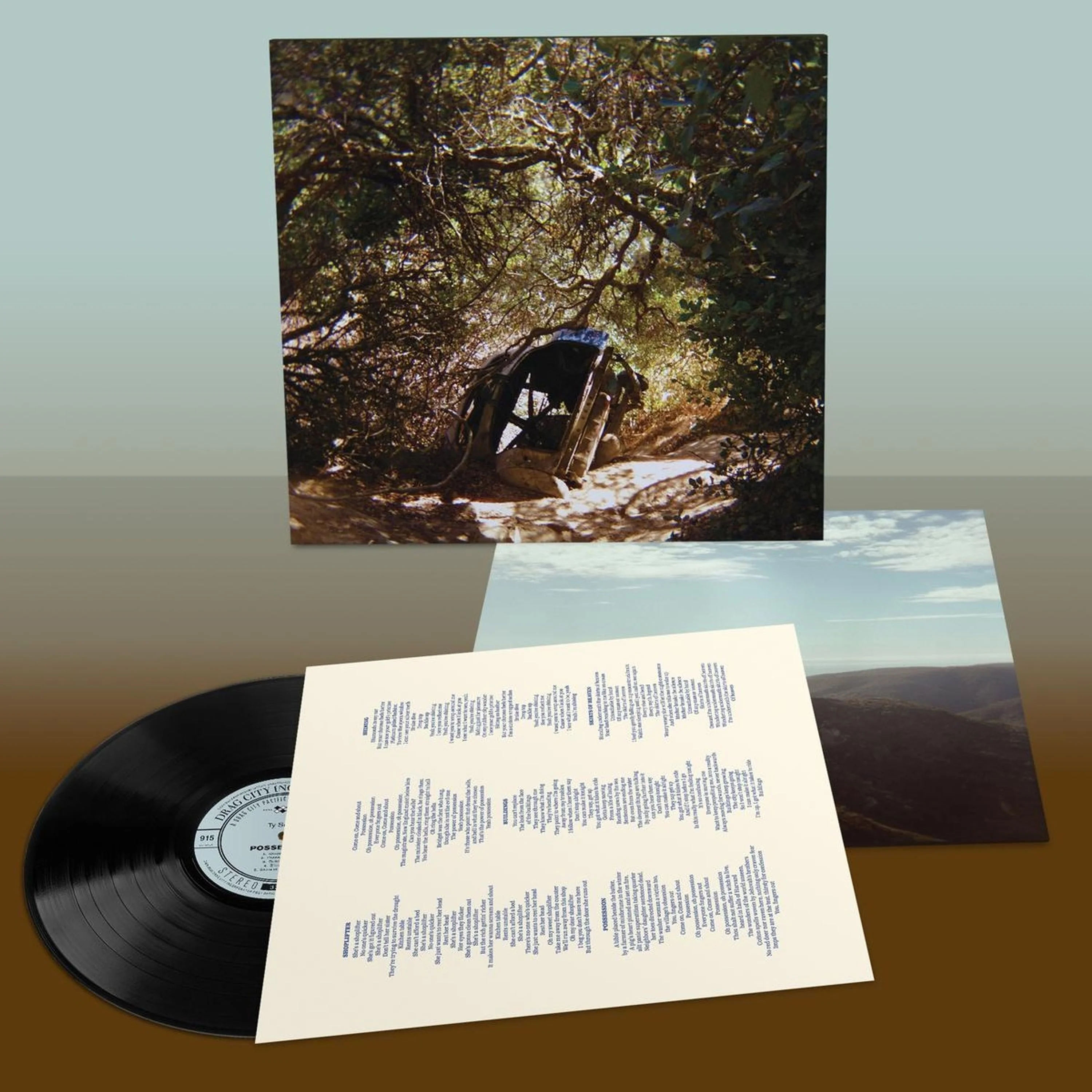 Ty Segall – Possession - Image 2