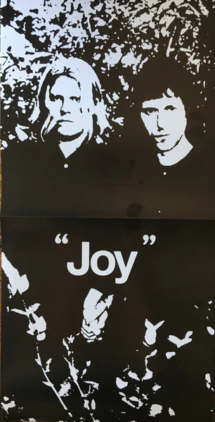Ty Segall, White Fence – "Joy" (VG+/VG) – LP, US 2018 - Image 5