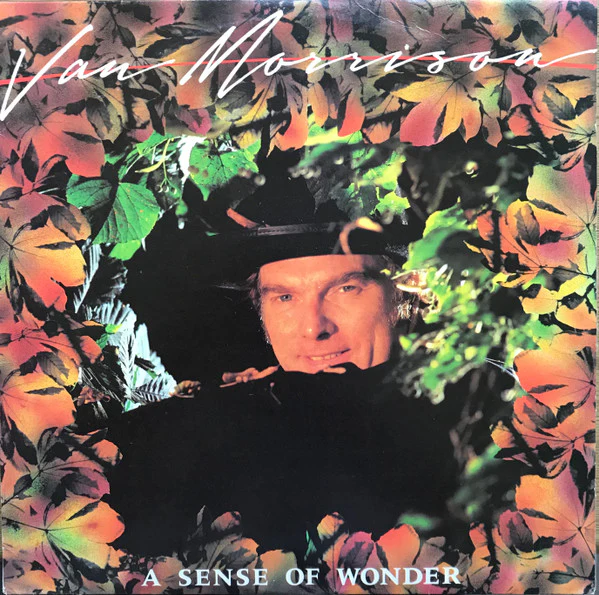 Van Morrison – A Sense Of Wonder (VG+/VG+) – LP, AU 1985