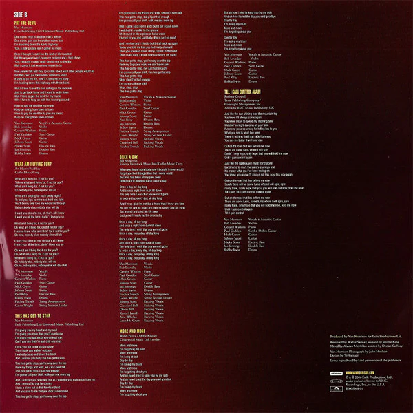 Van Morrison – Pay The Devil (VG+/VG+) – LP, US 2006 - Image 3