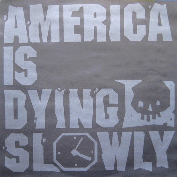 Various – America Is Dying Slowly (VG/VG+) – 2xLP, US 1996 - Image 7