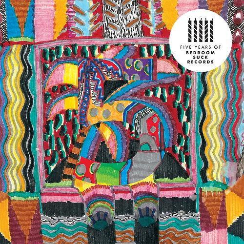 Various – Five Years Of Bedroom Suck Records (VG+/VG+) – 2xLP, AU 2014