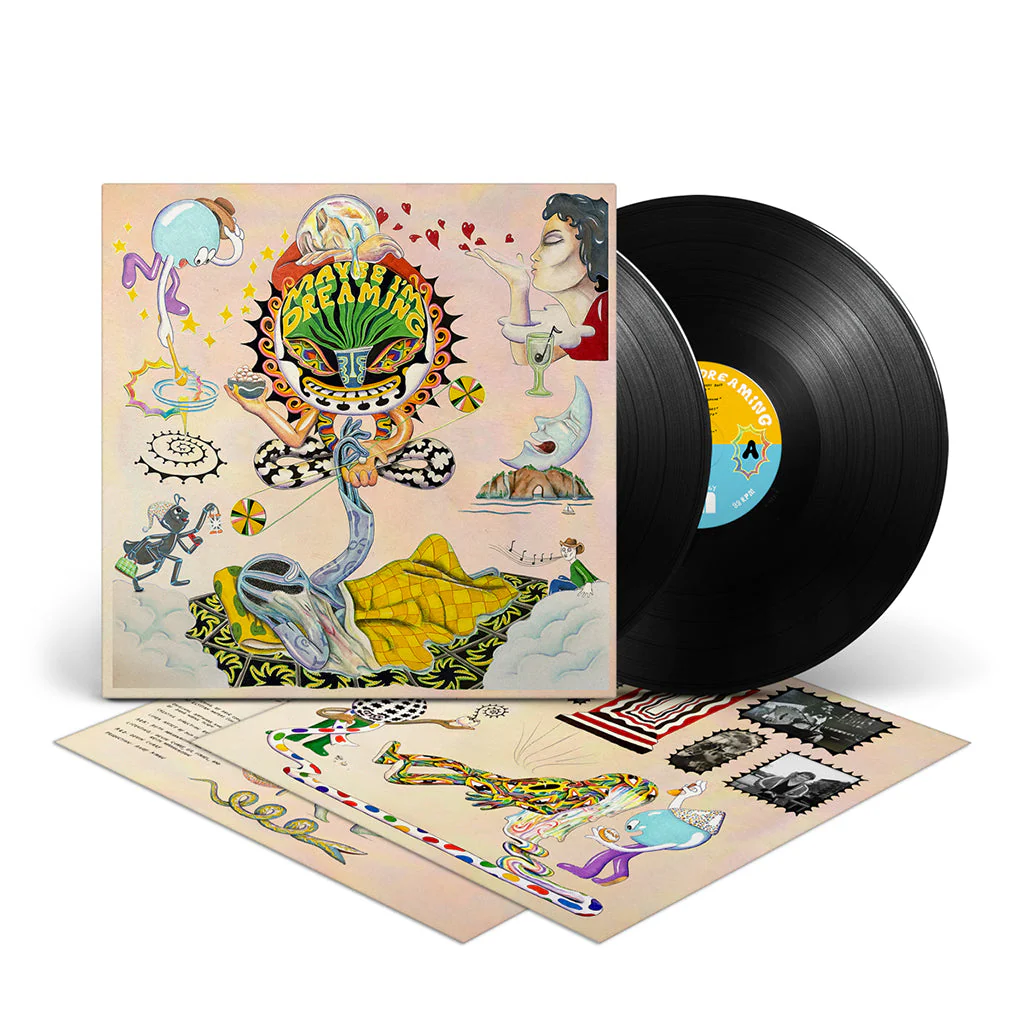 Various – Maybe I'm Dreaming (2xLP) - Image 2