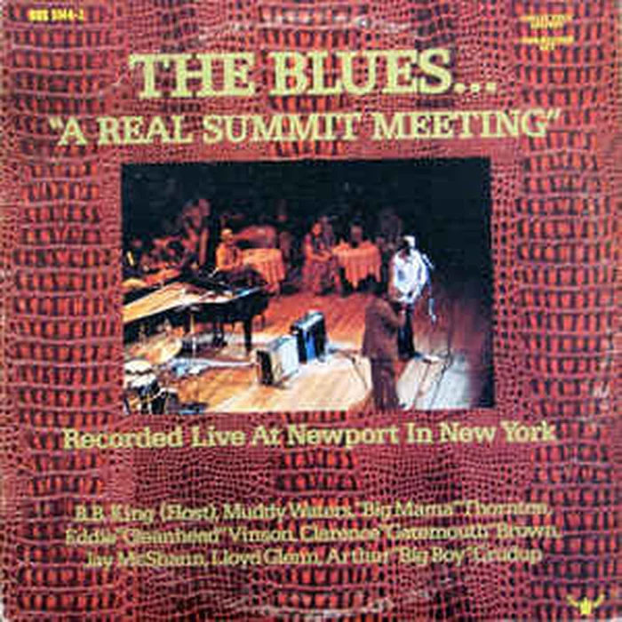 Various – The Blues... "A Real Summit Meeting" (Recorded Live At Newport In New York) (VG/VG+) – 2xLP, AU 1973