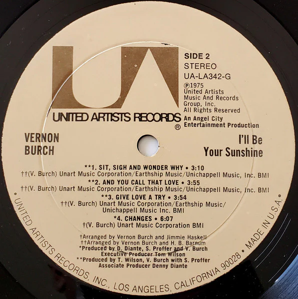 Vernon Burch – I'll Be Your Sunshine (G+/VG+) – LP, US 1975 - Image 4