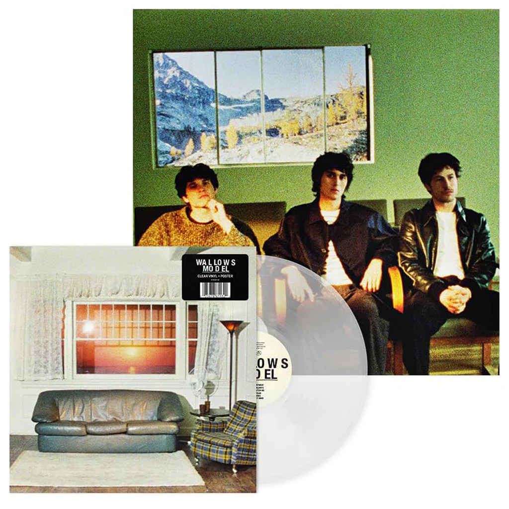 Wallows – Model (Clear Vinyl) - Image 4