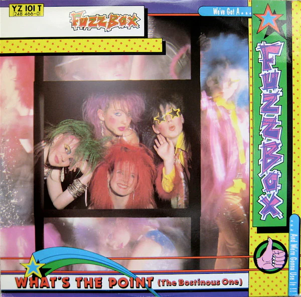 We've Got A Fuzzbox And We're Gonna Use It – What's The Point (The Bostinous One) (VG+/VG+) – 12", UK 1987