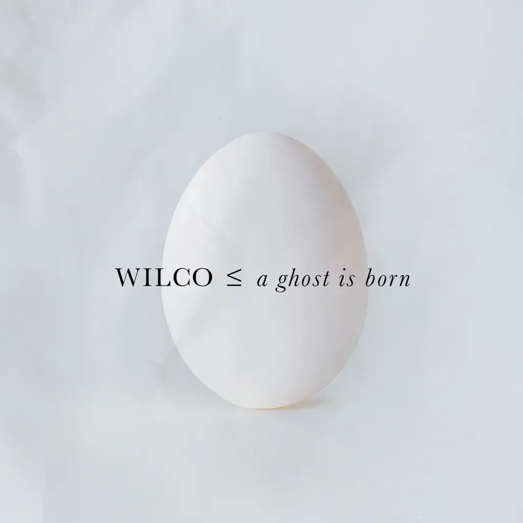 Wilco – A Ghost Is Born (2xLP, 20th Anniversary Expanded Edition)