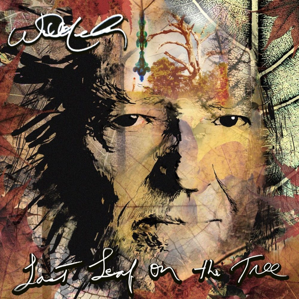 Willie Nelson – Last Leaf On The Tree (2xLP, "Fossil Swirl" coloured)