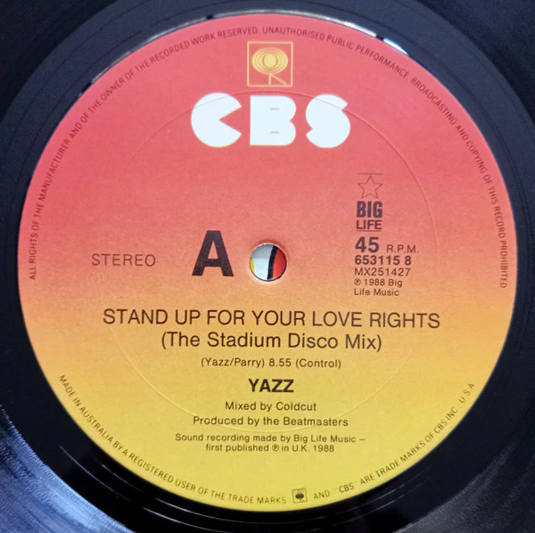Yazz – Stand Up For Your Love Rights (The Remixes) (VG/VG+) – 12", AU 1988 - Image 3
